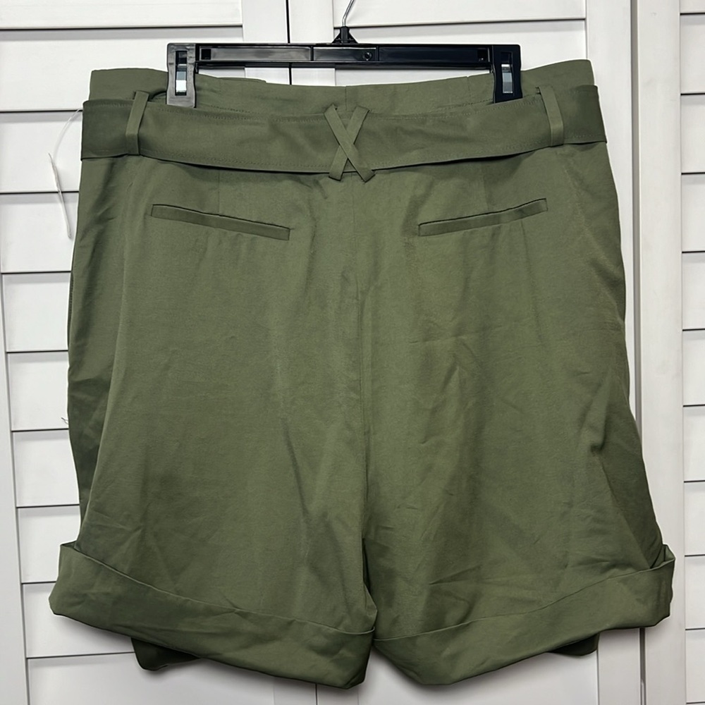 Elizabeth and James || NWT|| High Waisted Pleated Belted Shorts - Picture 4 of 16